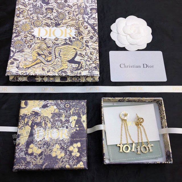 Dior飾品 迪奧經典熱銷款CD流蘇耳釘  zgd1419